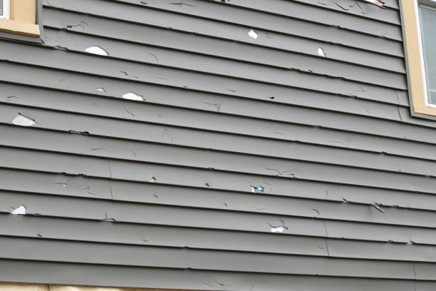 Best Siding for Multi-Family Homes  in Roosevelt, NJ