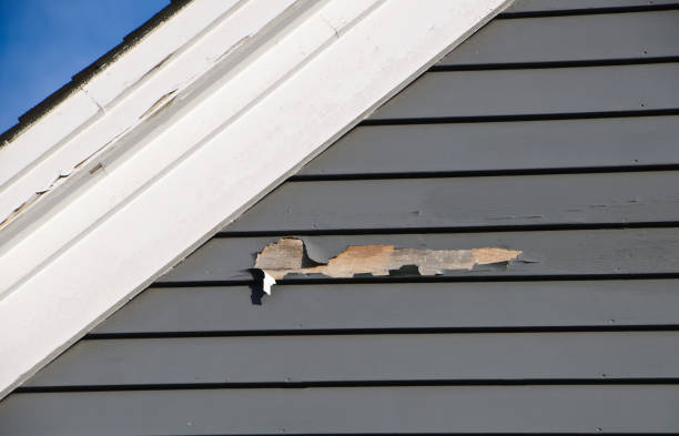 Roosevelt, NJ Siding Installation & Repair Company