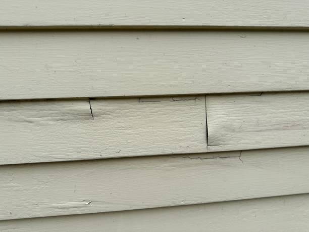 Best Insulated Siding Installation  in Roosevelt, NJ